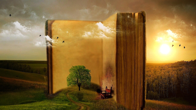 Foto: (c) Pixabay.com