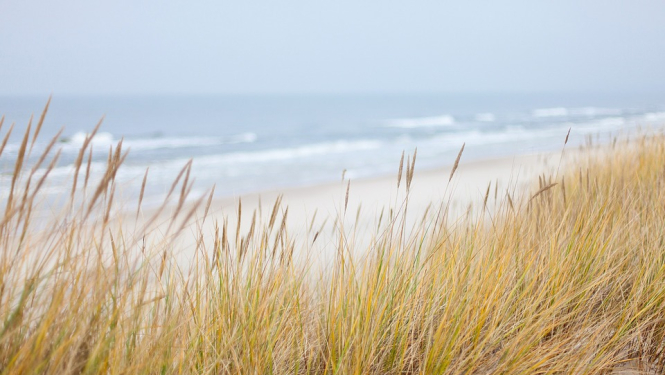 Foto: (c) Pixabay.com