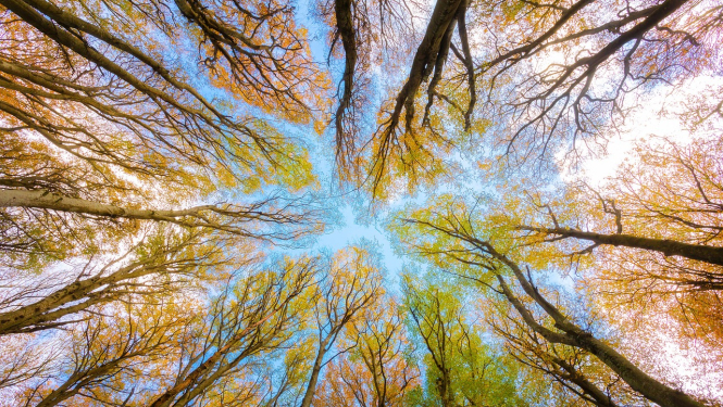 Foto: (c) Pixabay.com