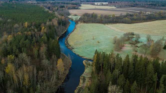 Dabasskats no putna lidojuma, vienā pusē – mežs, citā – pļava, pa vidu - Gauja