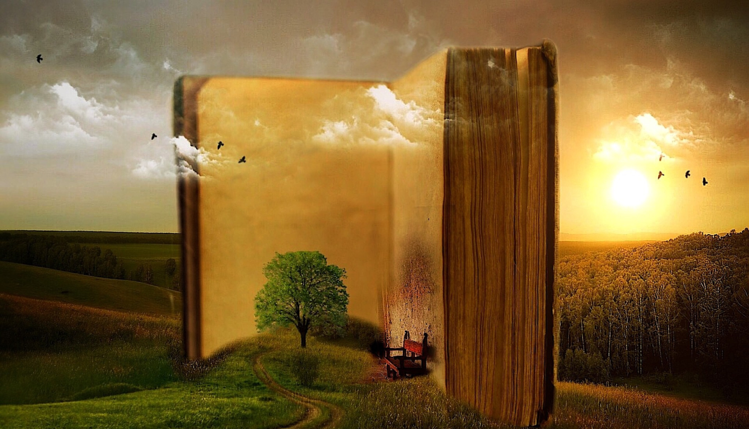 Foto: (c) Pixabay.com