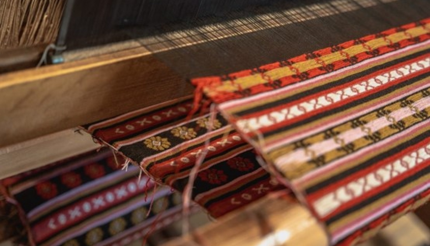 Attēls: LNKC arhīvs