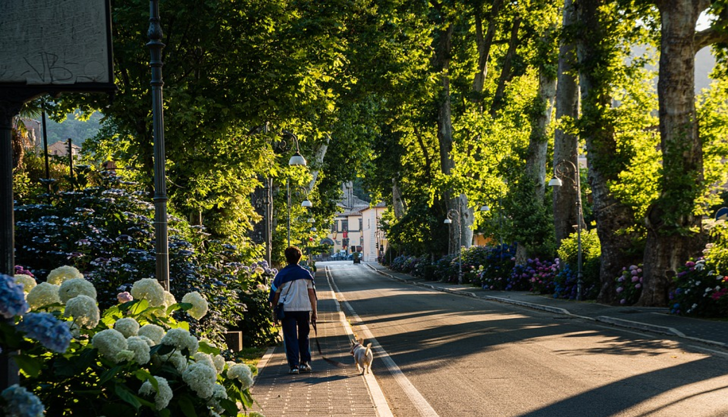 Foto: (c) Pixabay.com