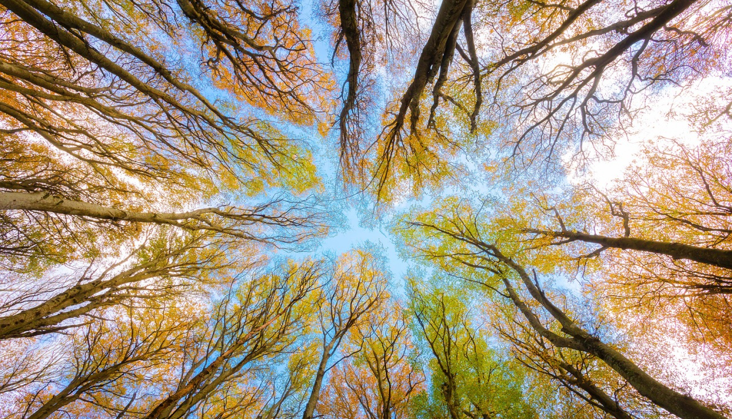 Foto: (c) Pixabay.com