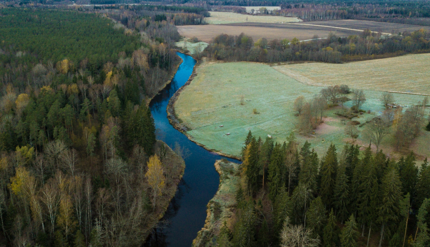 Dabasskats no putna lidojuma, vienā pusē – mežs, citā – pļava, pa vidu - Gauja